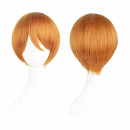 Cosplay Wig Short Hair Side Bangs Costume Wig