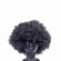 ST Afro Wave Heatproof Synthetic Wig Dense Curly NoTangle Resilient DailyOnline for Unisex Wholesome Look