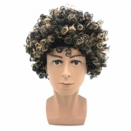 Curly Synthetic Hair Black Brown Cosplay Short Wigs Party Hair Wig for Black Women and Men Headwear afro wig