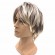 Blonde wigs Synthetic Heat Resistant Fiber Brown and Gray wigs Cosplay party Wig for man